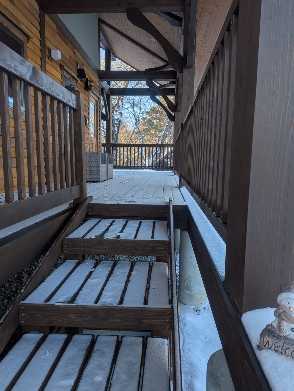 雪が降りました